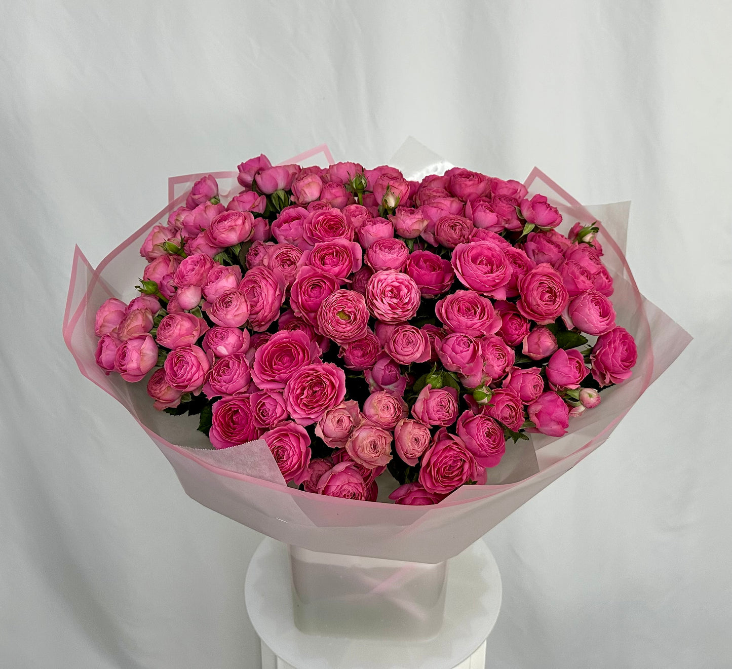 Rosen verzweigt pink
