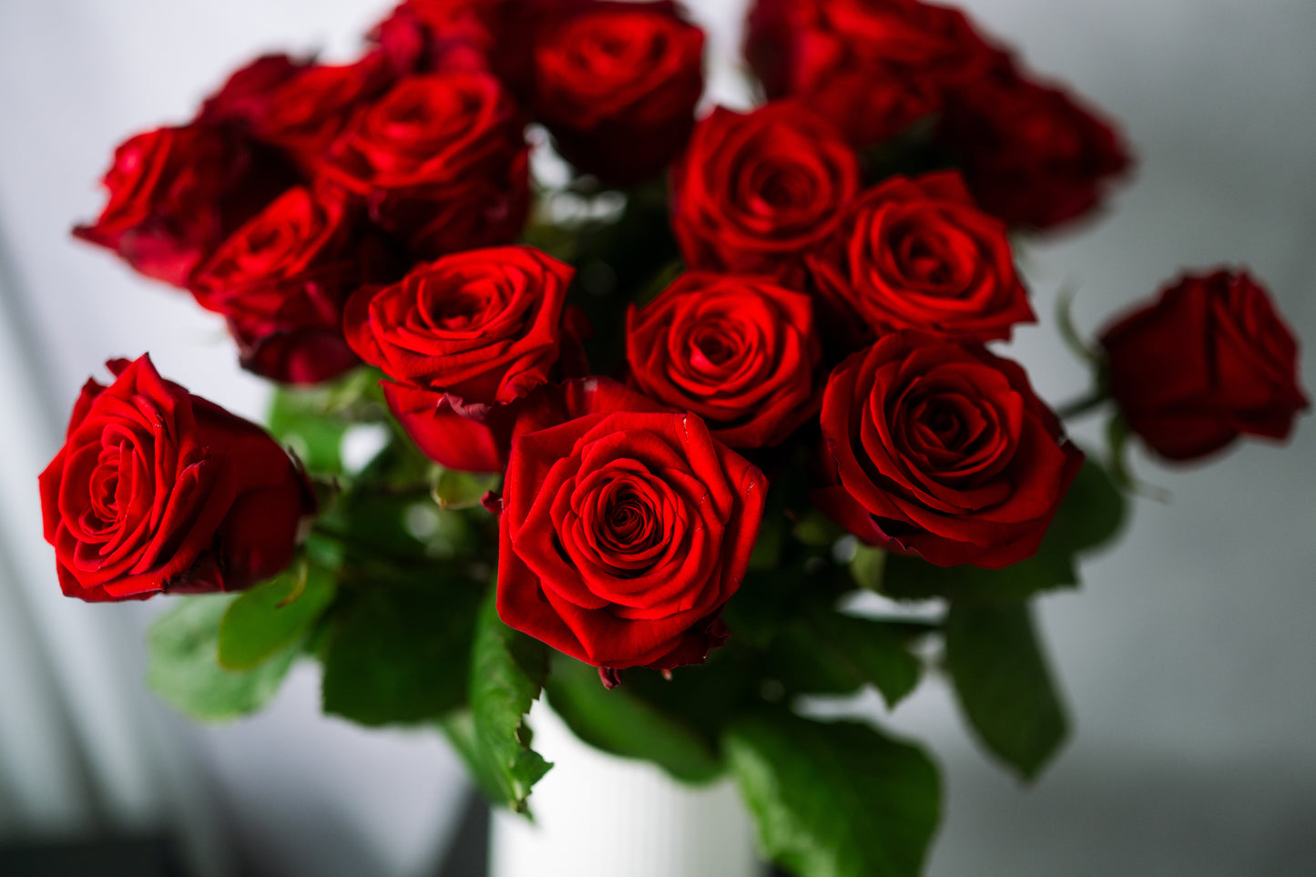 Rote Rosen