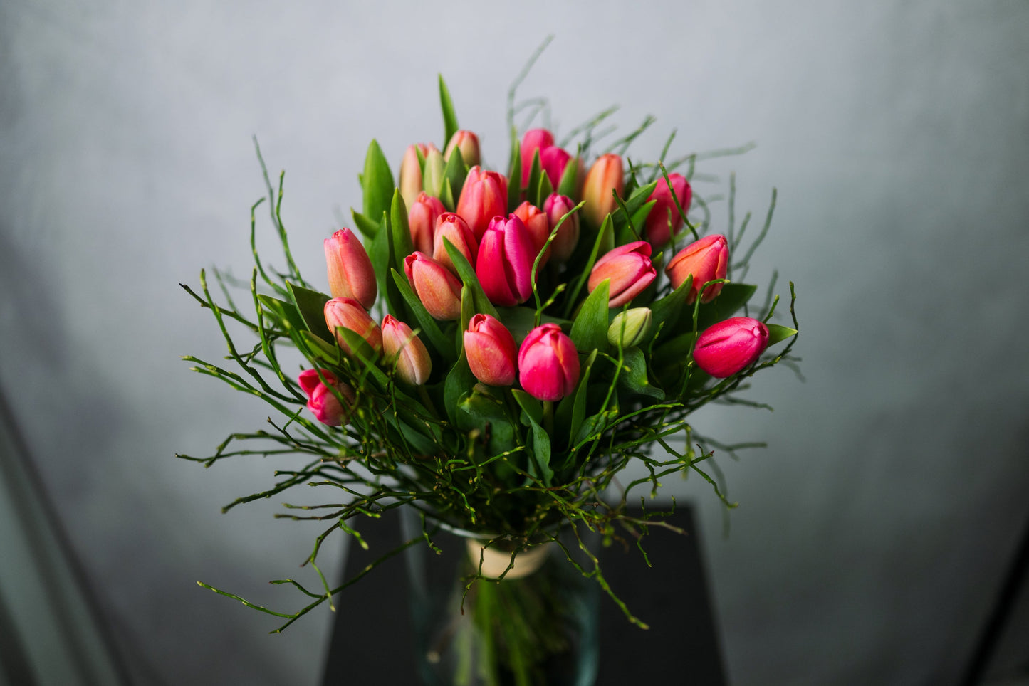 Tulpen Einzeln