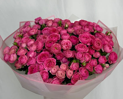 Rosen verzweigt pink