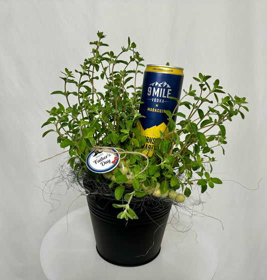 Majoran Geschenkset