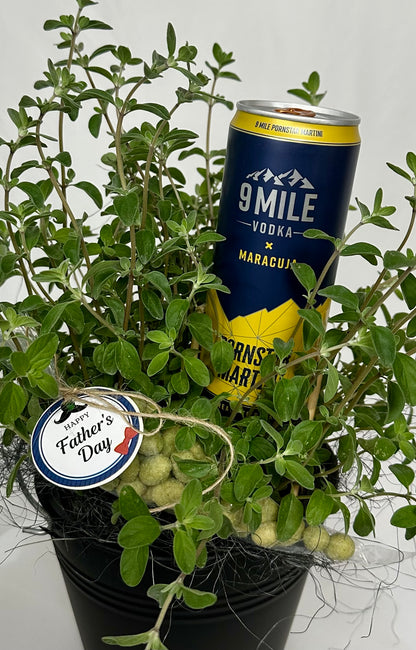 Majoran Geschenkset