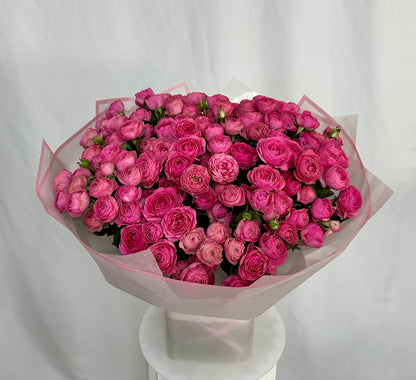 Rosen verzweigt pink